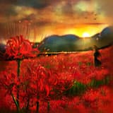 「彼岸花の夢」のサムネイル画像