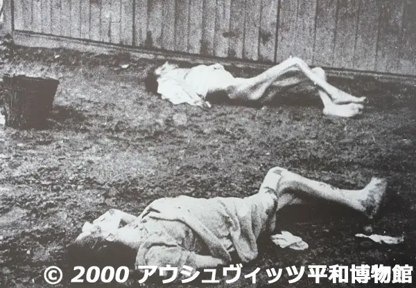 極度の飢餓と過酷な強制労働で身動きもとれない人々の写真